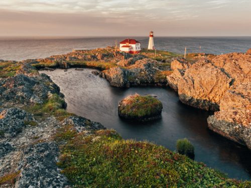 reasons to visit newfoundland