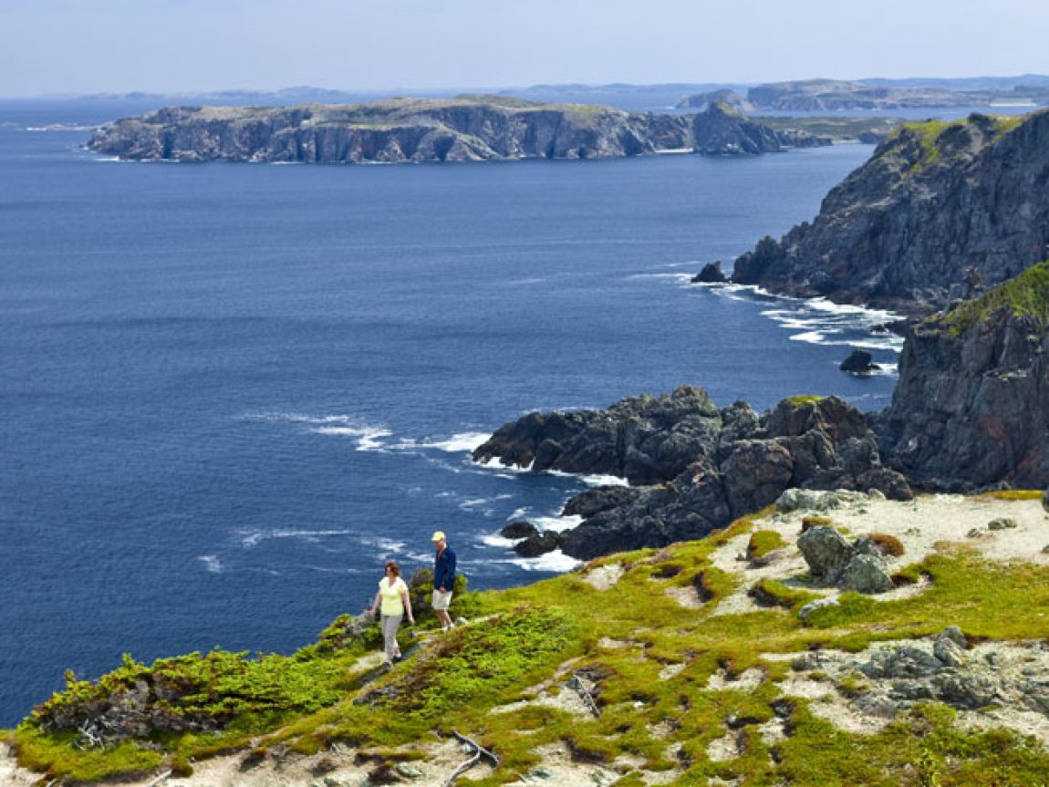 reasons to visit newfoundland