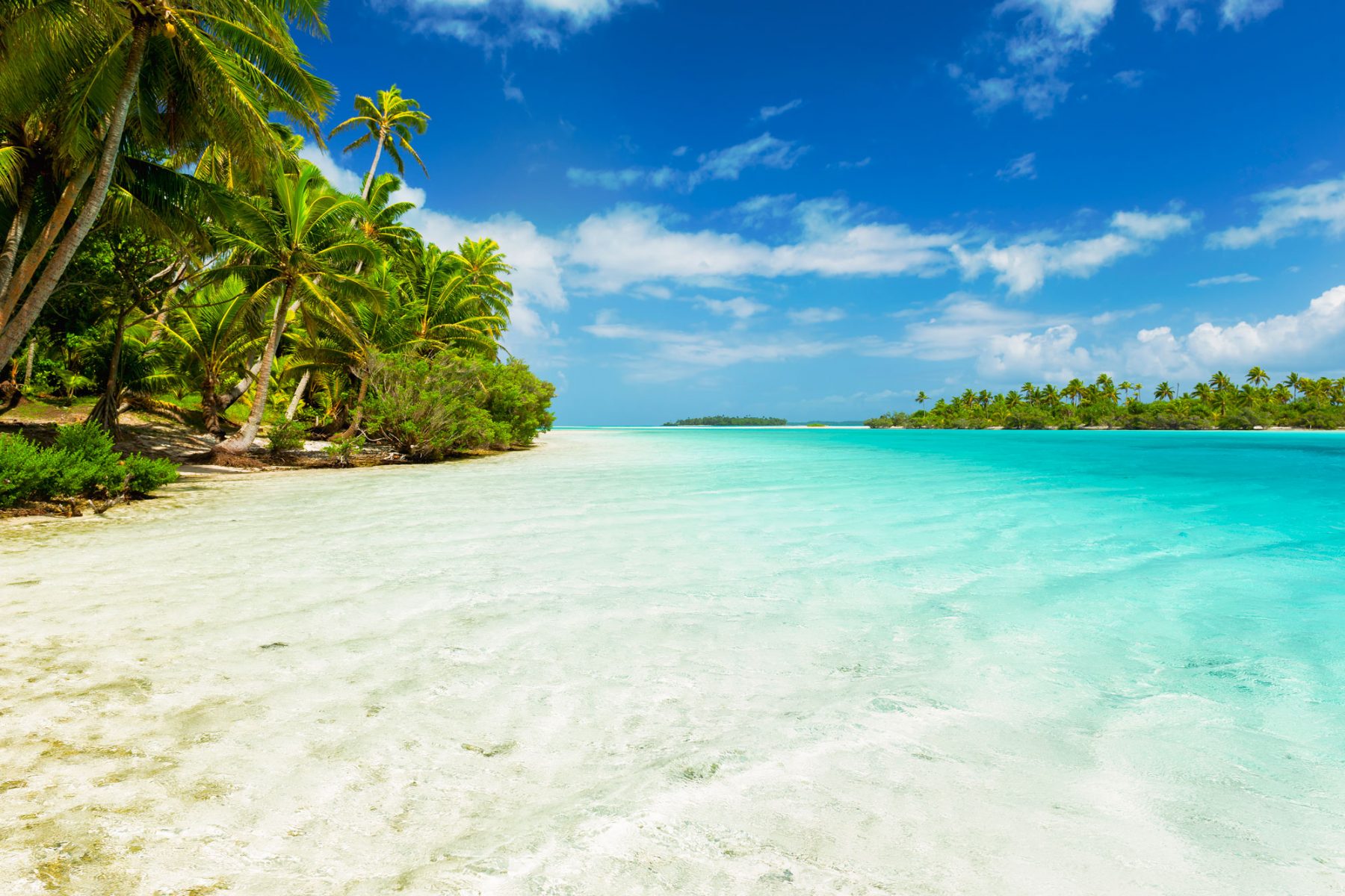 Cook Island Holidays 2023/2024 | Discover the World