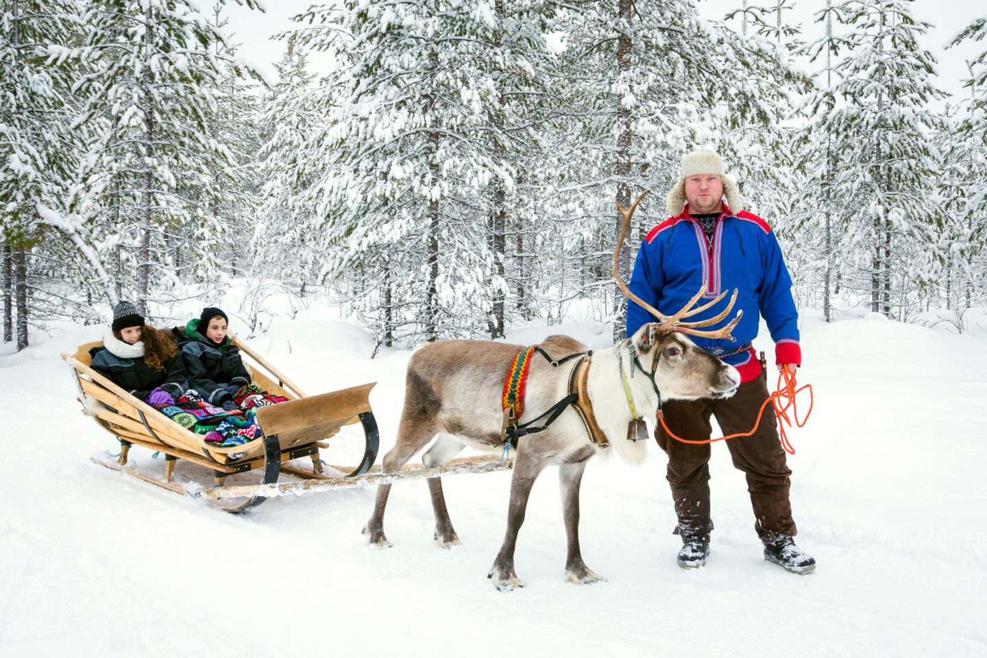 finland reindeer and sami ranua