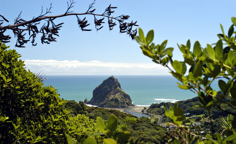 hypotheek Definitie vervolgens 5 Reasons to Visit Auckland | Blog | Discover the World