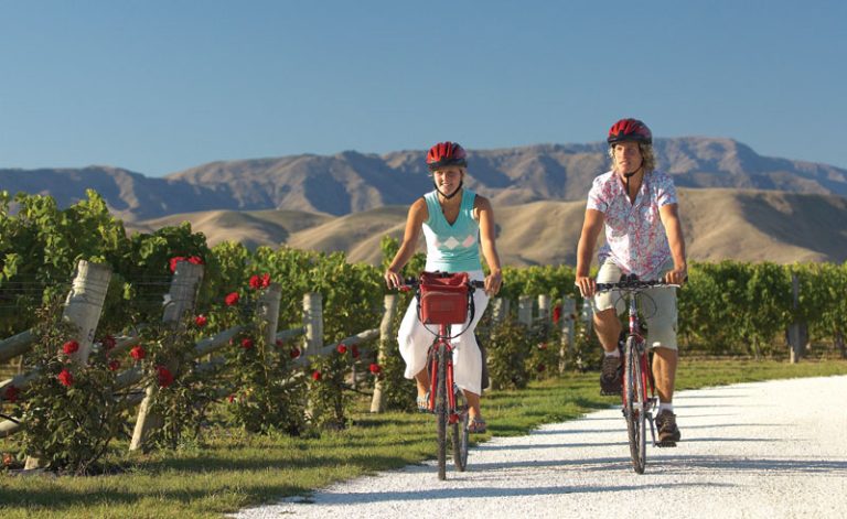 new zealand marlborough vineyards exploring by bike tnz