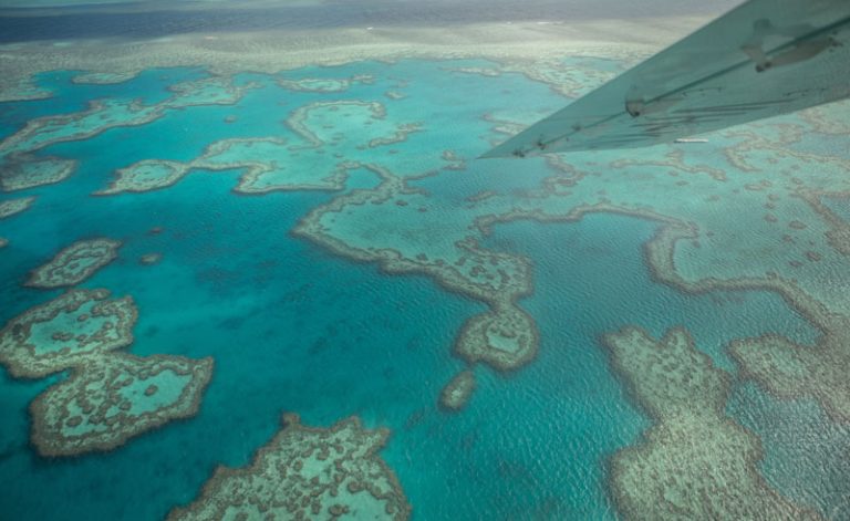 australia queensland seaplane flying over reef is