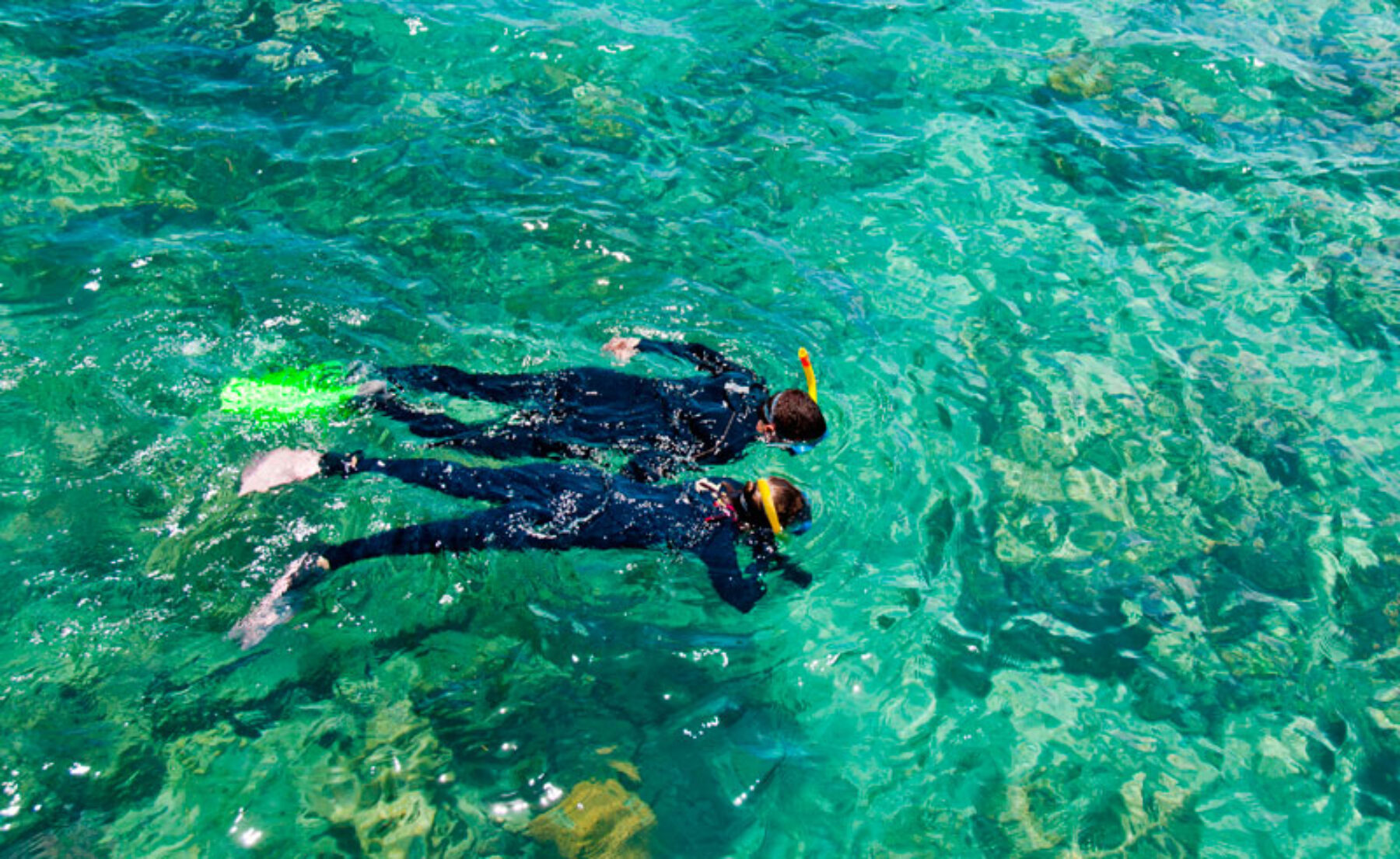 australia queensland snorkelling over reef as