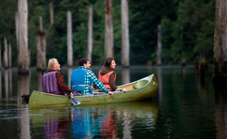 australia victoria great otway national park lake elizabeth canoe tourvic