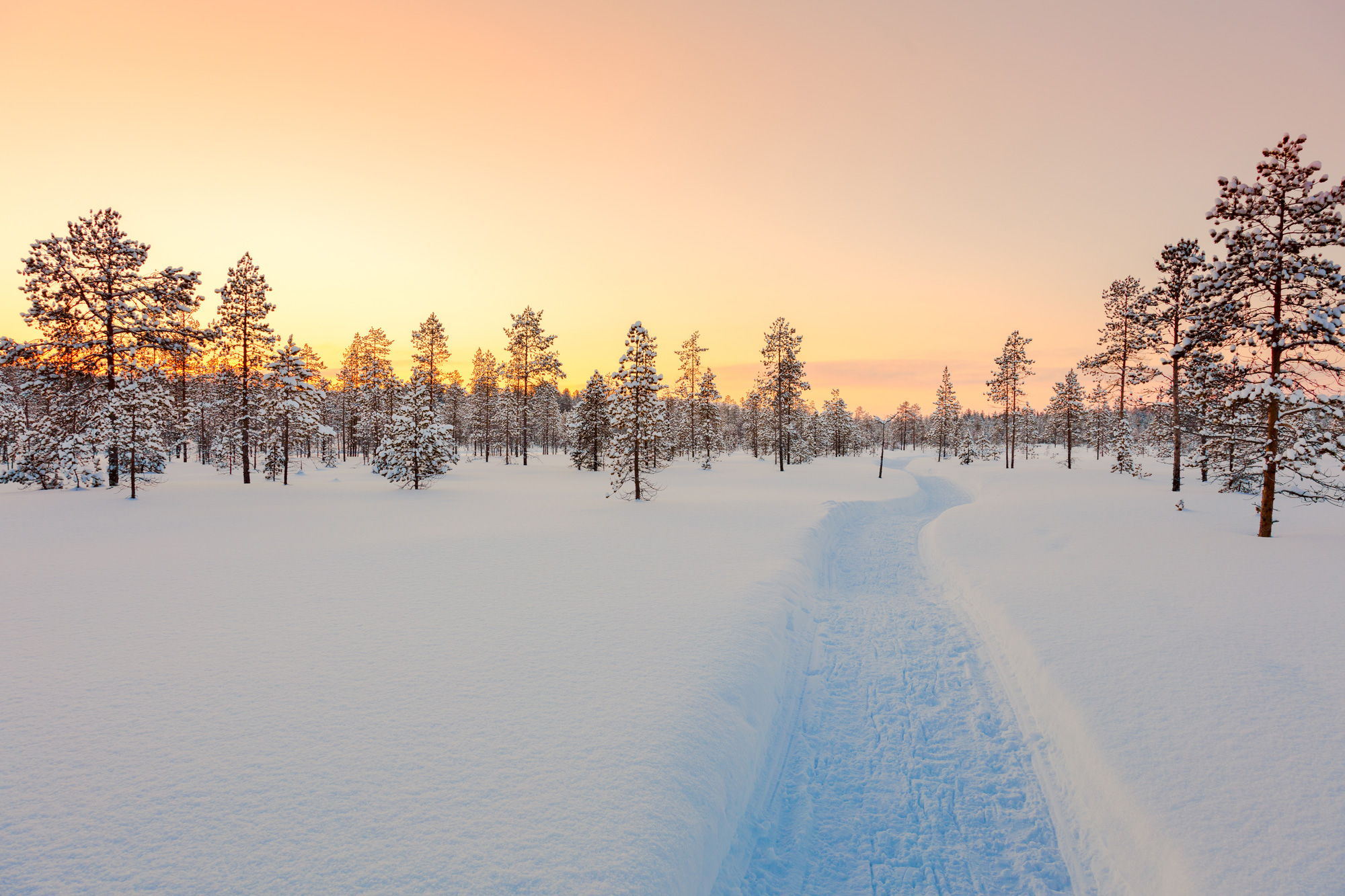 Muotka Wilderness Adventure | Finnish Lapland Holiday