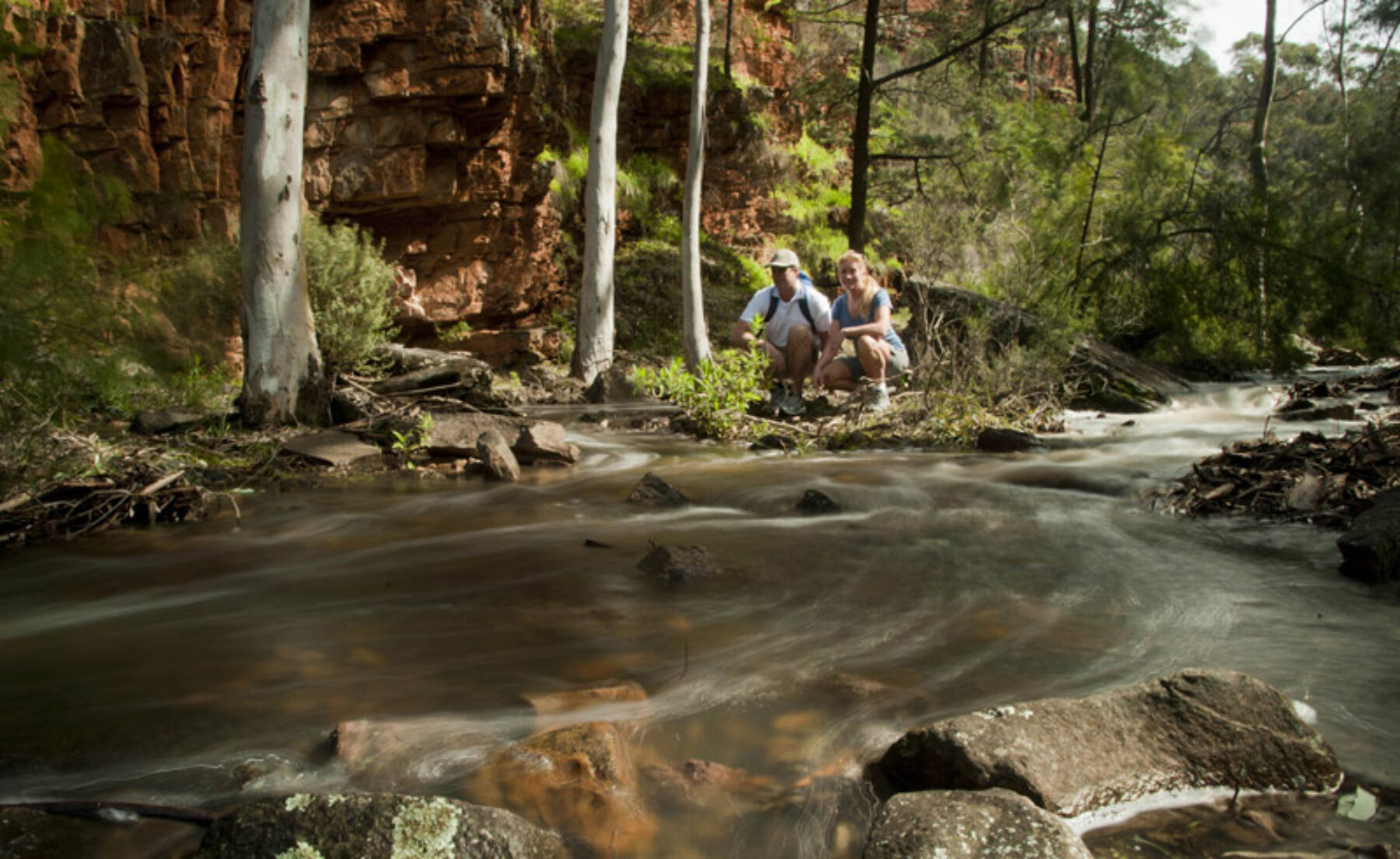 south australia flinders ranges eco safari
