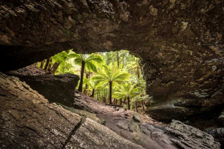 australia tasmania trowutta arch tarkine drive istk