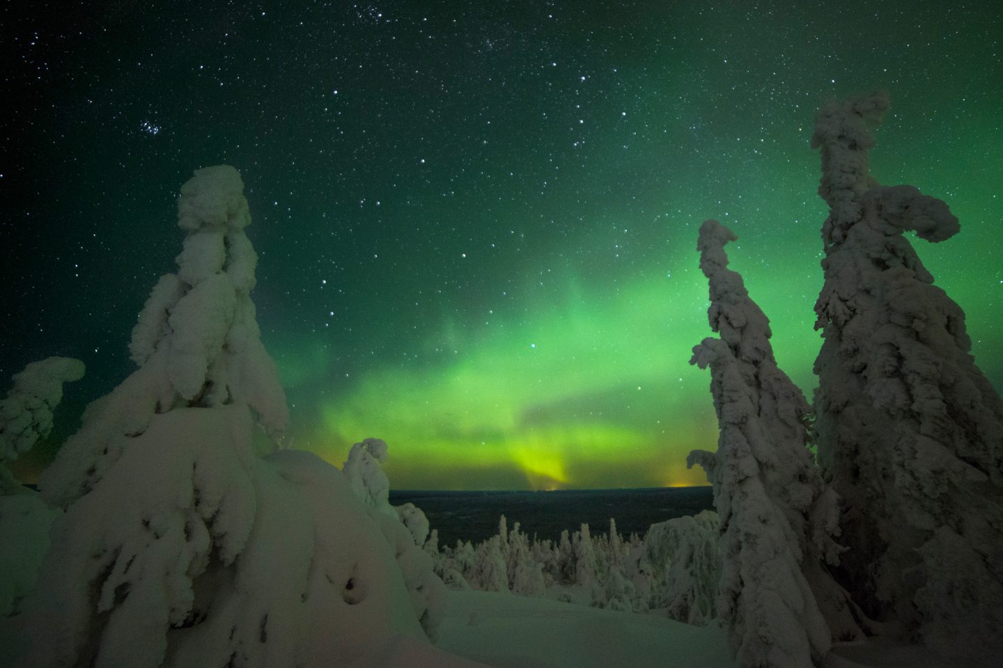 finnish lapland iso syote aurora forest view