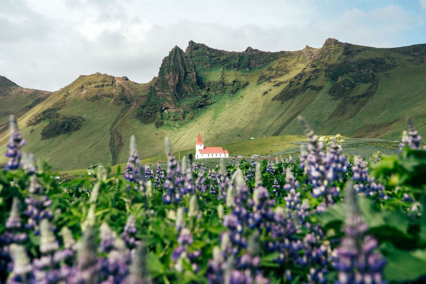 iceland south west church at vik lupins gt
