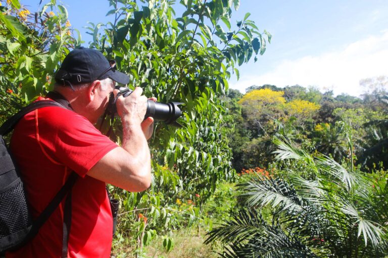 costa rica photographing flora uncr