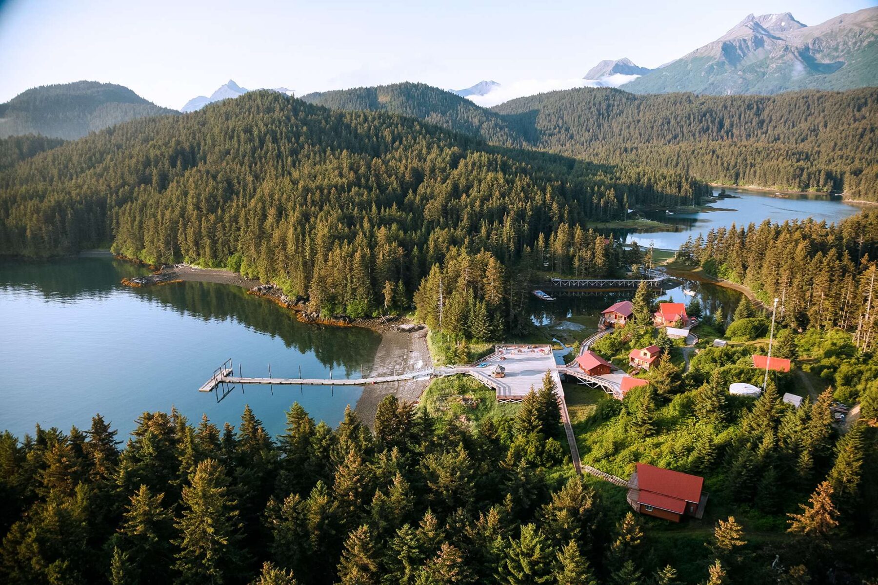 tutka bay lodge aerial view