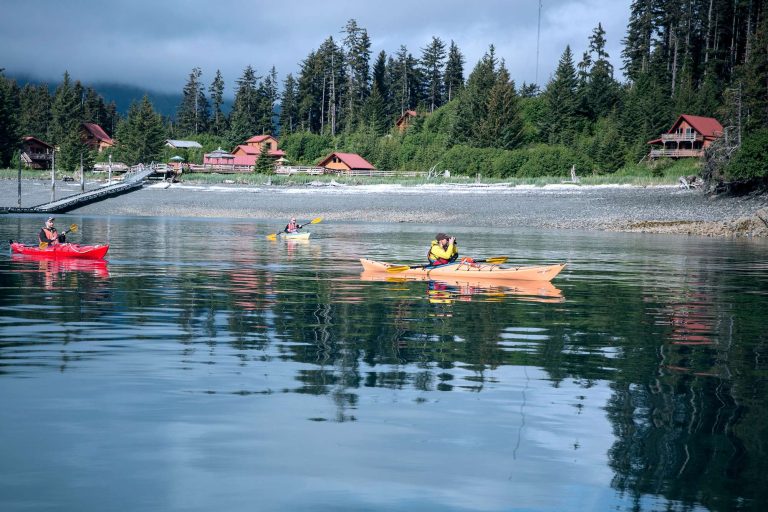 tutka bay lodge kayaking