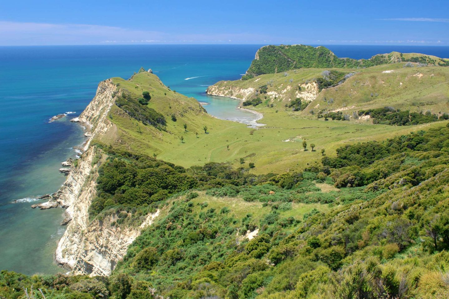 new zealand cooks landing tolaga bay east cape istk