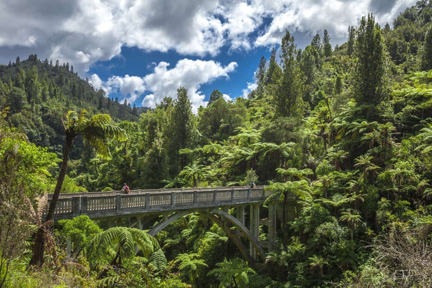 new zealand whanganui bridge to nowhere taranaki istk