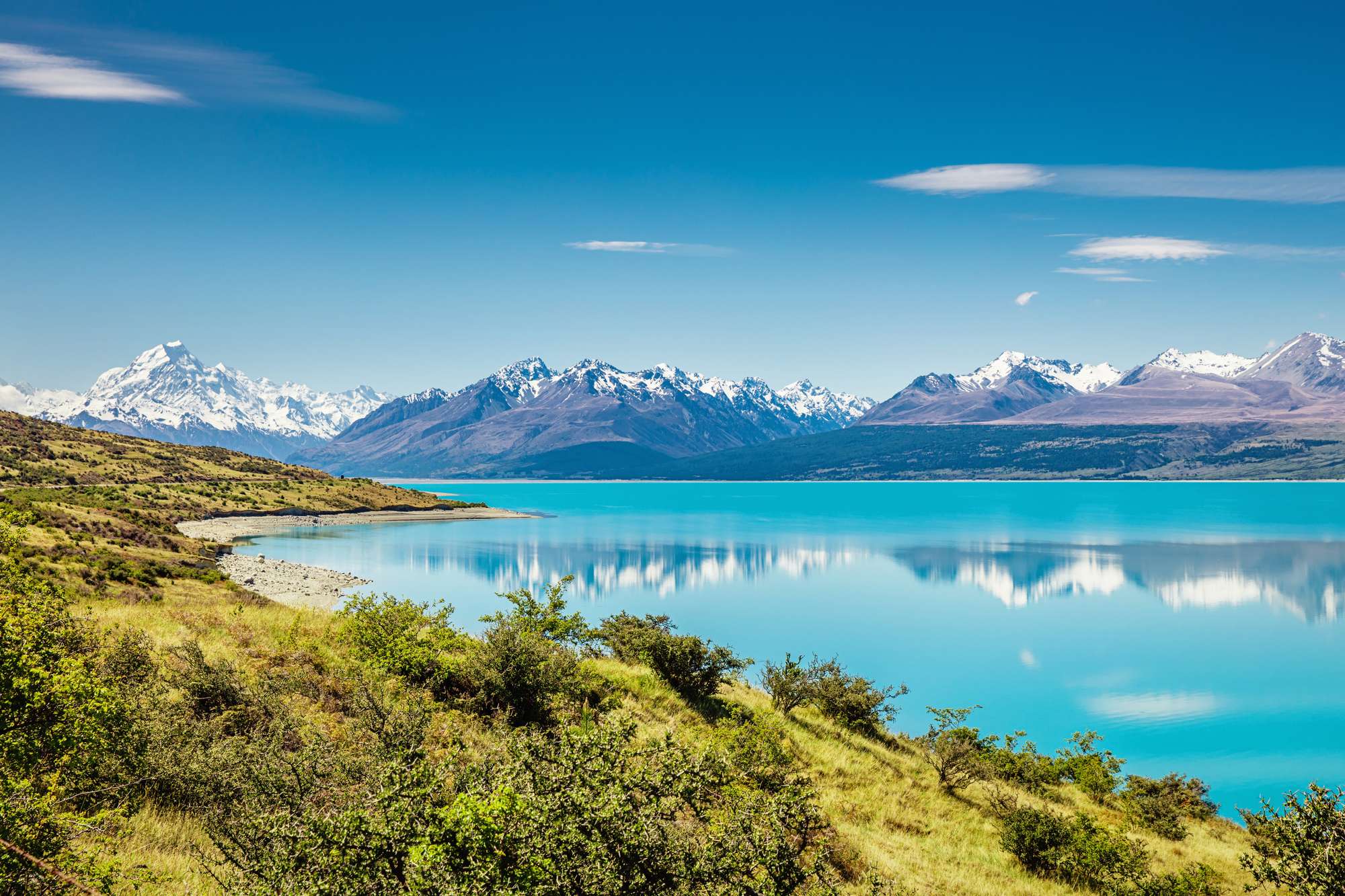 Discovering Chile: A Journey for New Zealand Travellers - Introduction