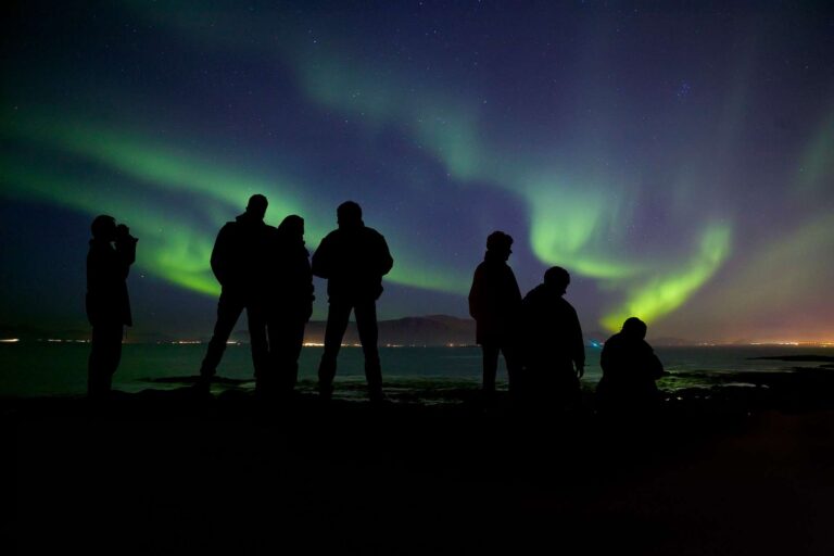 iceland group watching northern lights rth