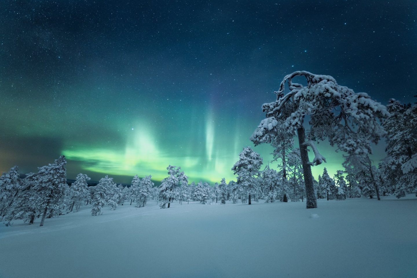 aurora over finnish lapland by maria vojtovicova unsplash