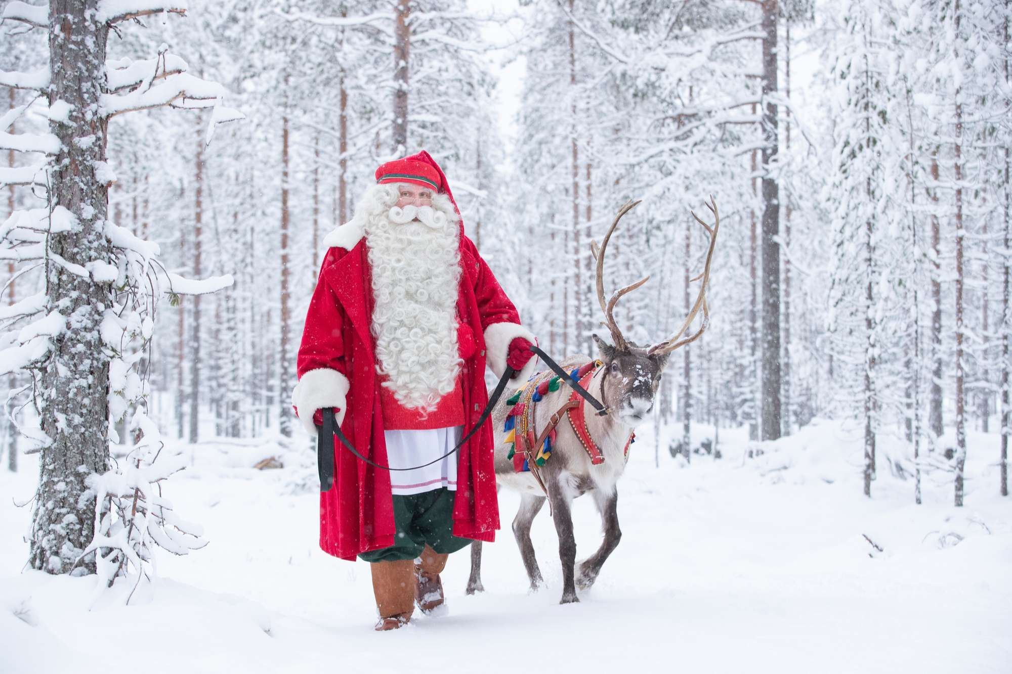 Santa Holidays in Lapland Discover the World Nordic Specialists