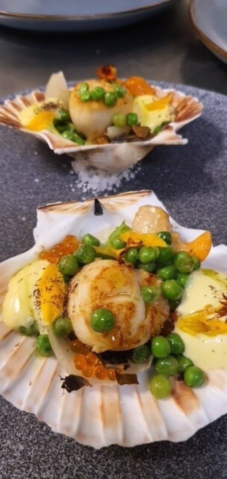 Ekspedisjon Nyksund – scallops