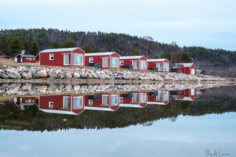 aurora sea view cabins norwegian wild