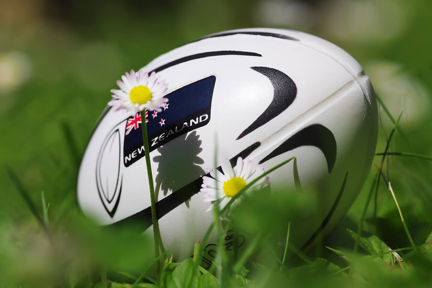 new zealand-rugby-ball-astk