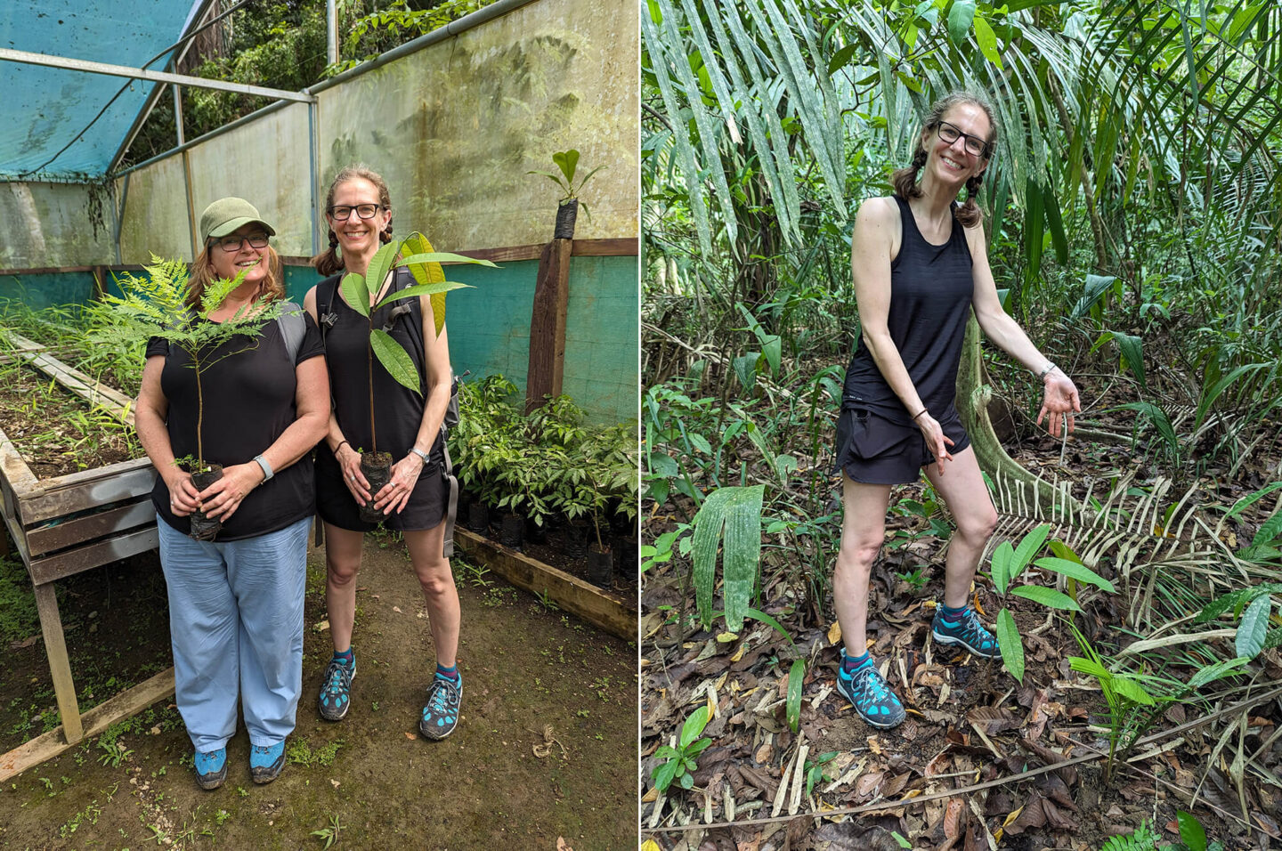 costa-rica-blog-osa-lapa-rios-liz-claire-tree-planting