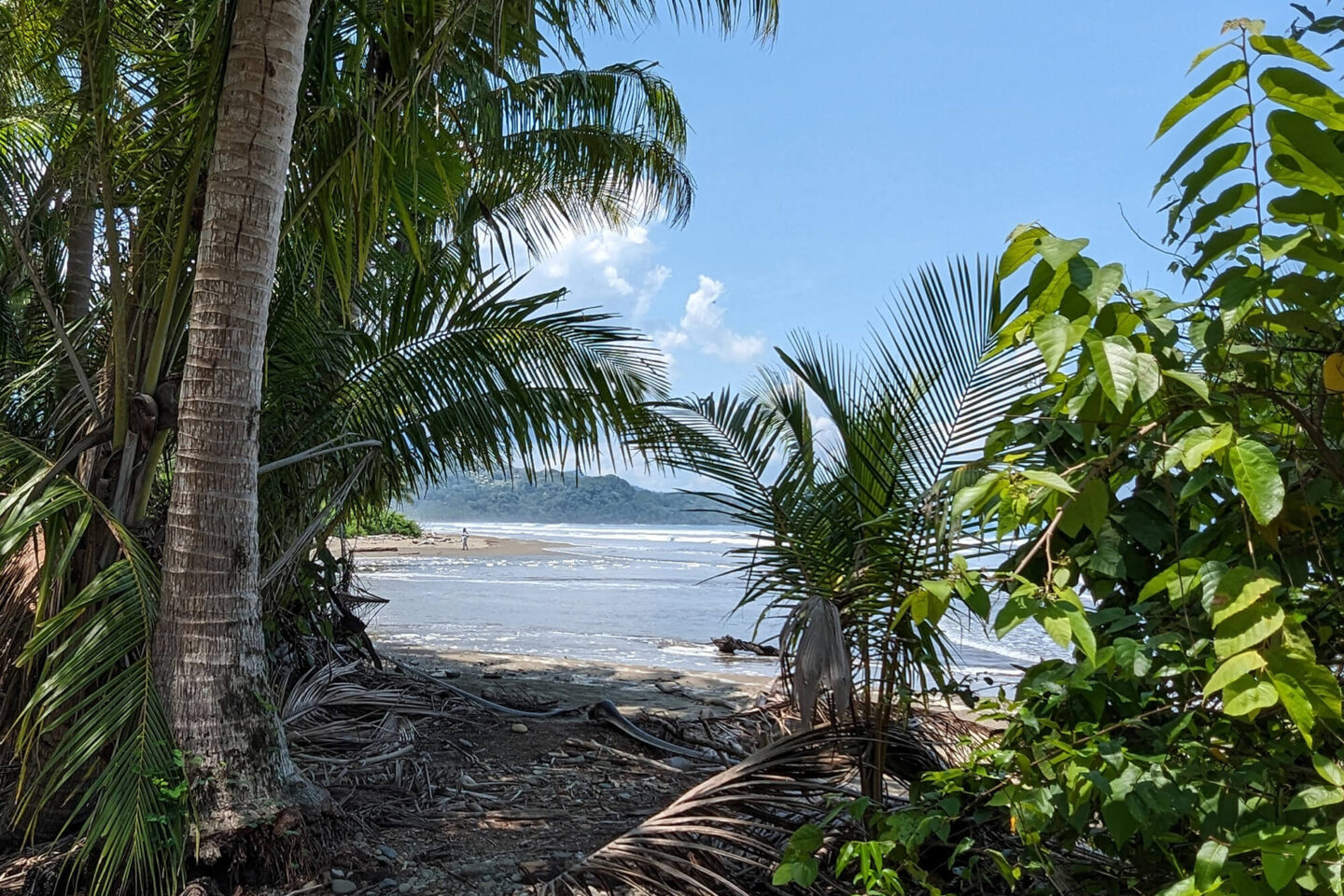 costa-rica-blog-uvita-beach