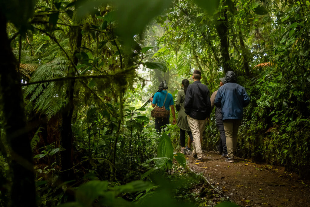 costa-rica-hiking-in-monteverde-cloudforest-tb