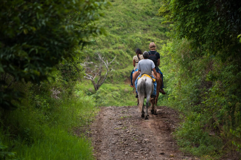 costa-rica-horse-riding-through-cloud-forest-astk