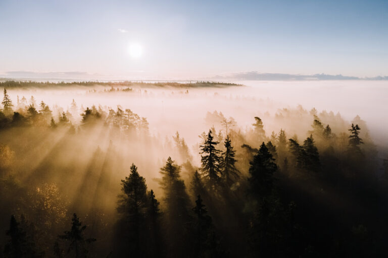 finland-haltia-lake-lodge-nuuksio-morning-mist-joonas-linkola