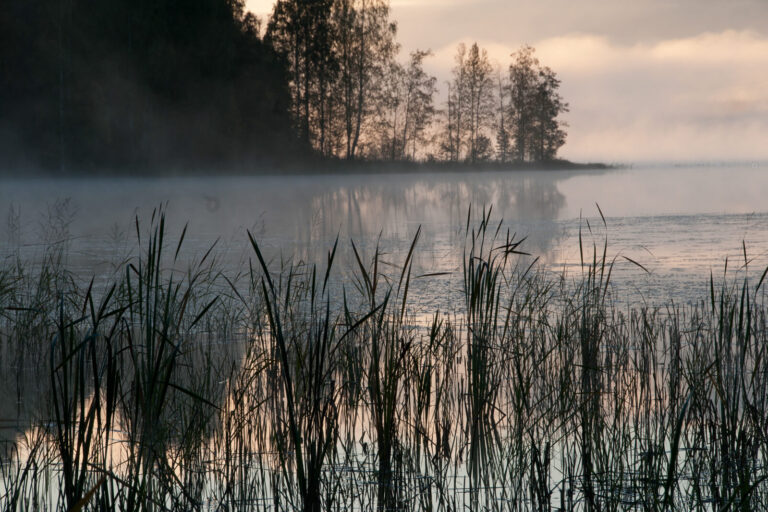 finland-lakeland-heinola-luonto