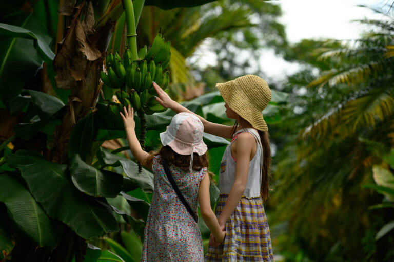 costa-rica-children-exploring-jungle-on-family-holiday-istk