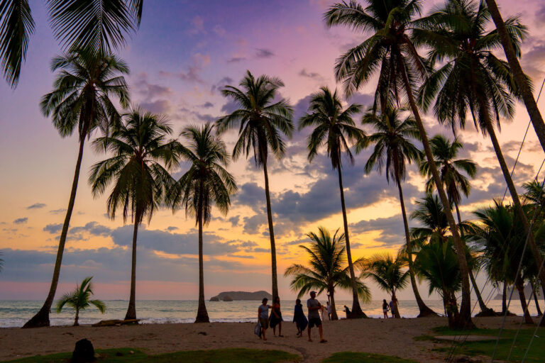 costa-rica-corcovado-beach-sunset-palm-trees-rth