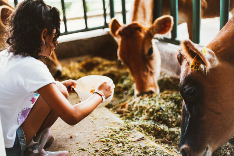 costa-rica-farming-young-girl-and-cows-tb