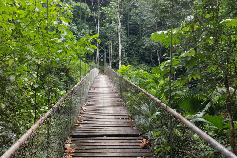 costa-rica-hanging-bridge-through-rainforest-canopy-tb