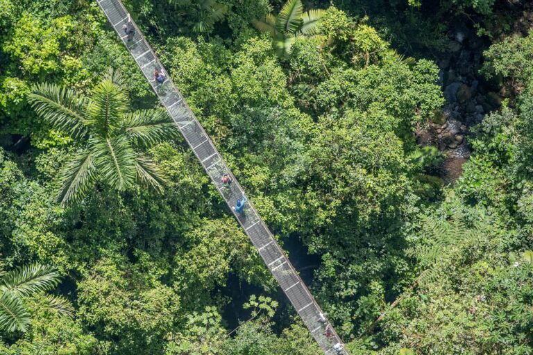 costa-rica-mistico-arenal-hanging-bridges-natural-history-tour-aerial