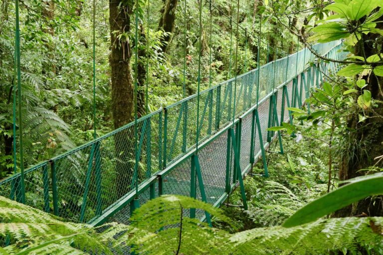 costa-rica-monteverde-hanging-bridges-experience-2-sel