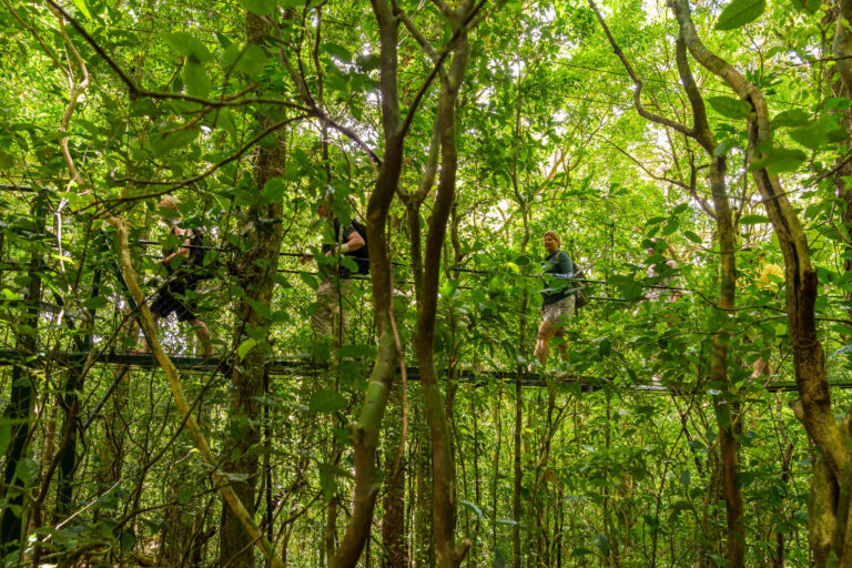 costa-rica-monteverde-hanging-bridges-rth