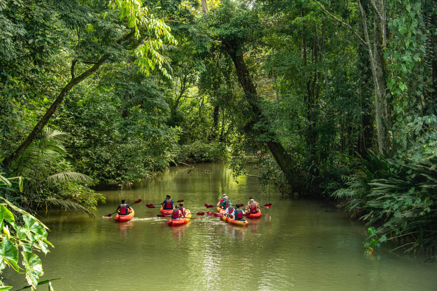 costa-rica-puerto-viejo-kayaking-through-jungle-river-astk