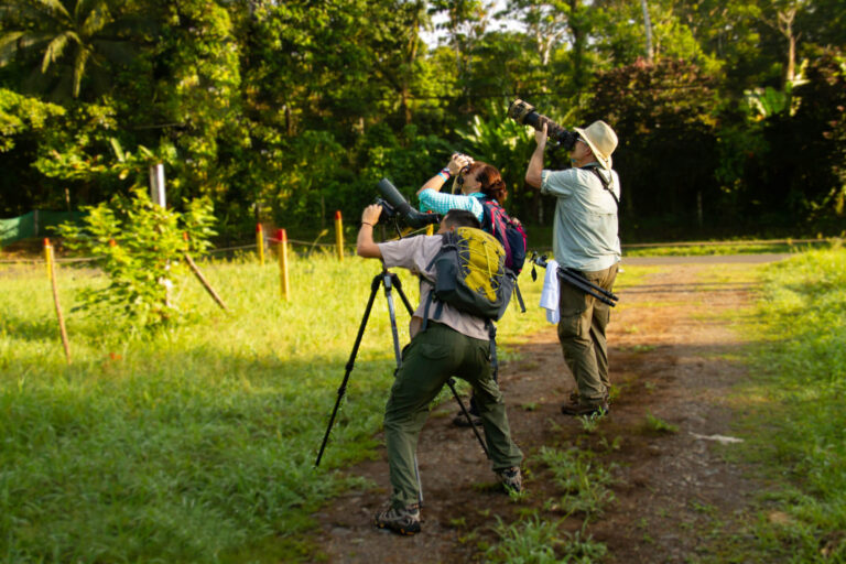 costa-rica-selva-verde-birding-lodge