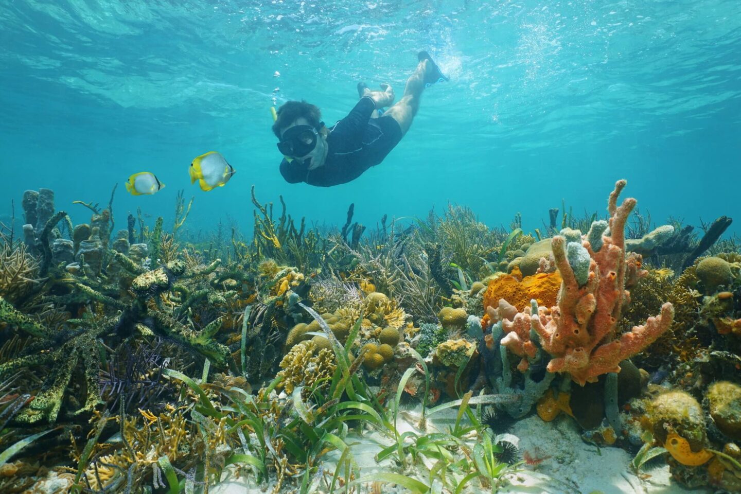 costa-rica-snorkelling-in-caribbean-over-coral-reef-astk