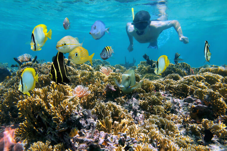 costa-rica-snorkelling-over-coral-reef-with-fish-istk