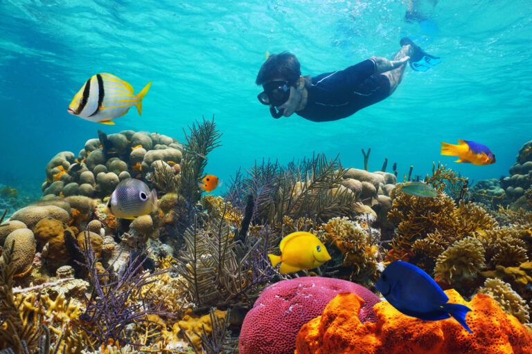 costa-rica-snorkelling-with-tropical-fish-over-coral-astk