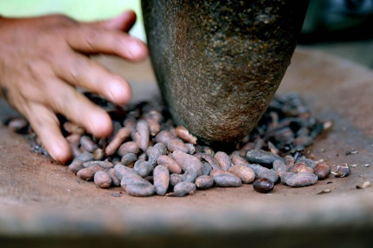 costa-rica-traditional-roasting-cocoa-seeds-tb