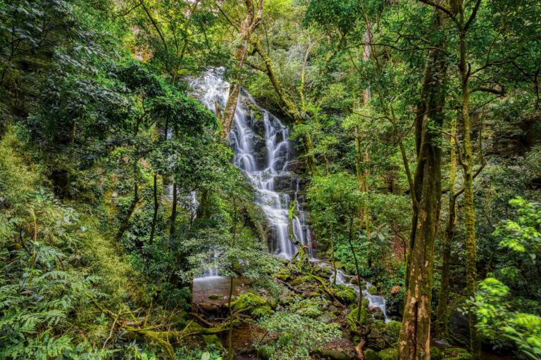 costa-rica-waterfall-rincon-de-la-vieja-national-park-astk