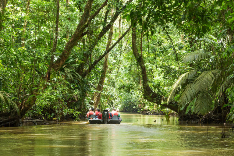 costa-rica-wildlife-cruise-through-tortuguero-national-park-astk