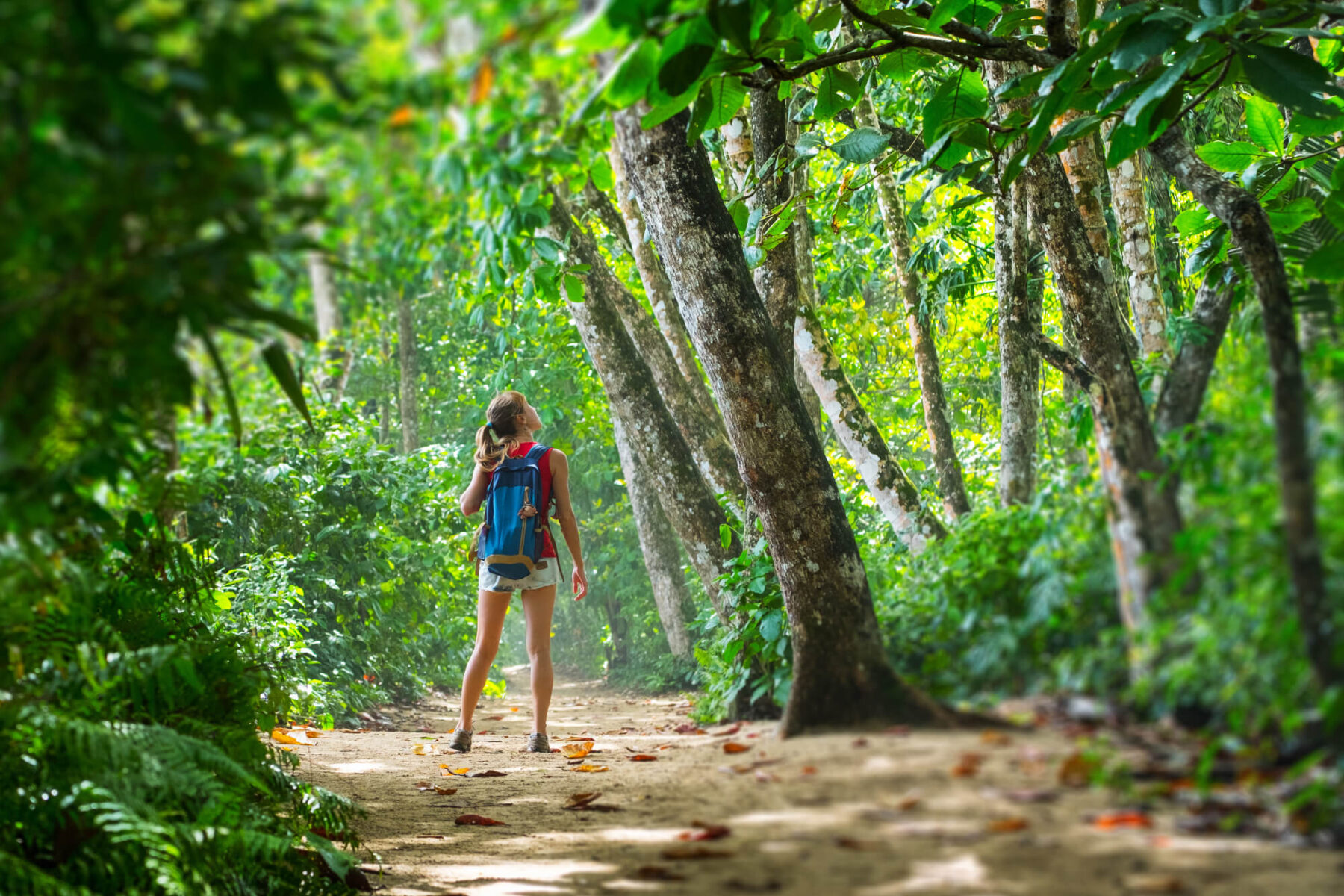 costa-rica-young-woman-hiker-in-lush-forest-astk