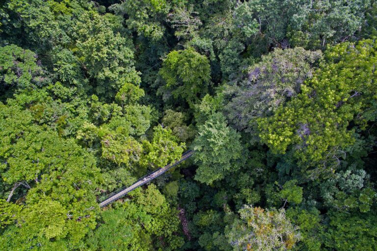 el-remanso-lodge-hanging-bridges-trail