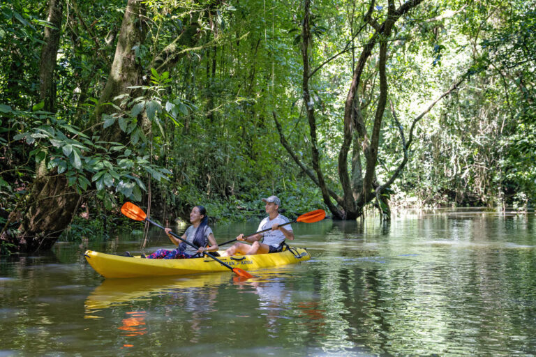 maquenque-eco-lodge-kayaking-tres-amigos-river